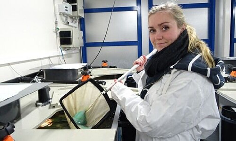 En del av arbeidt med studien ble gjennomført som masteroppgave til Masterstudent ved Universitet i Bergen, Malene Waage Skår. Foto: Gyri Teien Haugland.