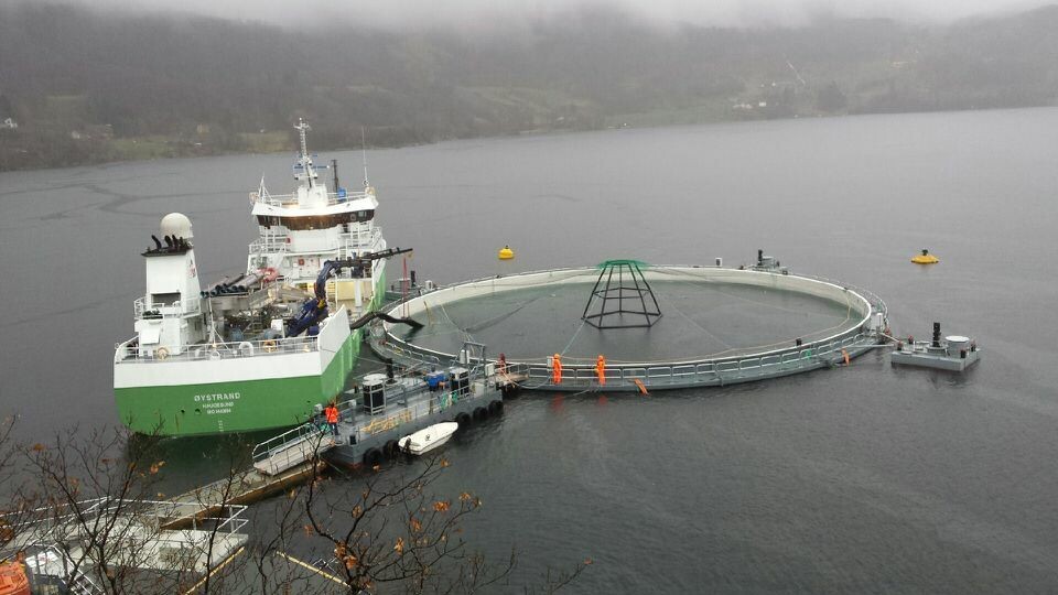 Sara Calabrese har blant annet undersøkt forholdene i Marine Harvests lukkede anlegg på Molnes. Foto: Marine Harvest