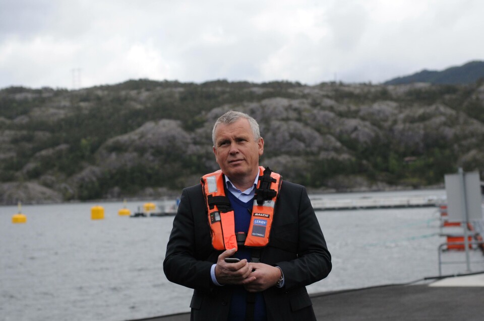 Willy Berglund er administrerende direktør i Sjøtroll Havbruk. Foto: Pål Mugaas Jensen.