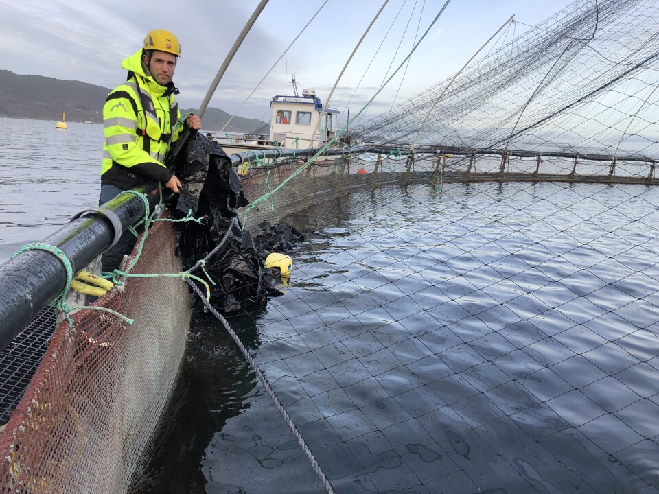 Atle Kristoffersen er daglig leder i OK Marine og sier den nye fôringsautomaten fungerer på samme måte som en klassisk fuglemater. Foto: OK Marine