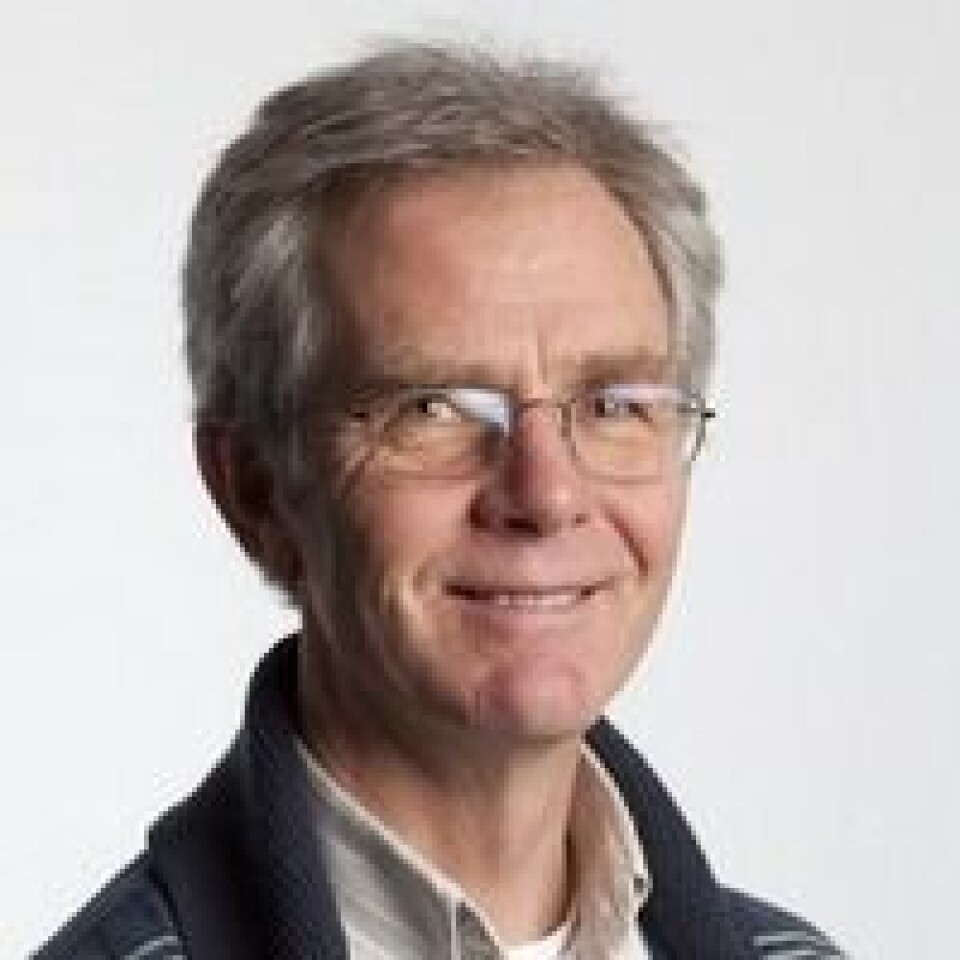 Steinar Bergseth. Foto: Forskningsrådet