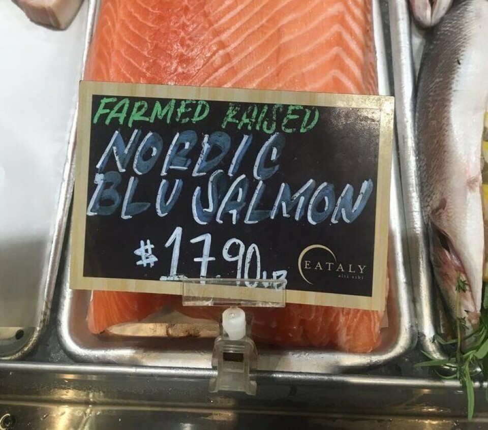 Her er Skjerstadfjord lajs i kjøledisken til Eataly i USA. Foto: Wenberg Fiskeoppdrett og Edelfarm Her er Skjerstadfjord lajs i kjøledisken til Eataly i USA. Foto: Wenberg Fiskeoppdrett og Edelfarm