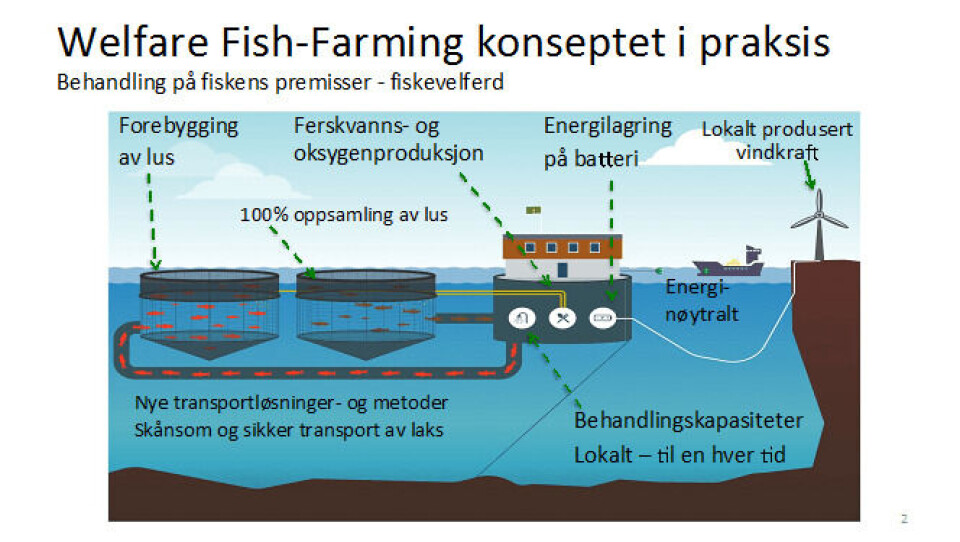 Illustrasjon: Pure farming søker om seks utviklingskonsesjoner til konseptet Welfare Fish Farming. De vil behandle på fiskens premisser og har høyt fokus på fiskevelferd. Foto: PF.