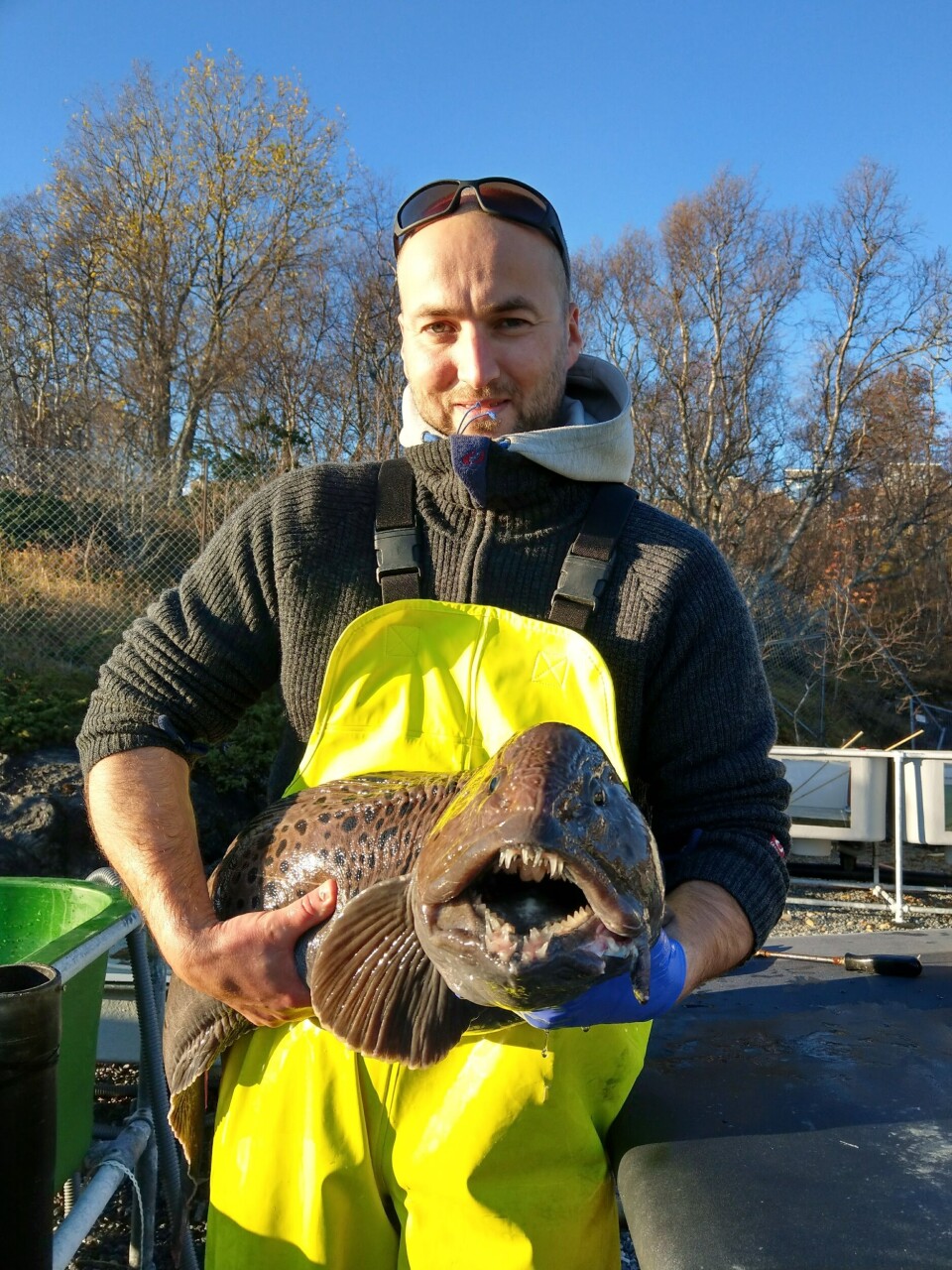Steinbitprodusenten Aminor har fått flere utfordringer knyttet til Koronakrisen, daglig leder Willy Sandaa sier ????. Foto: Privat.