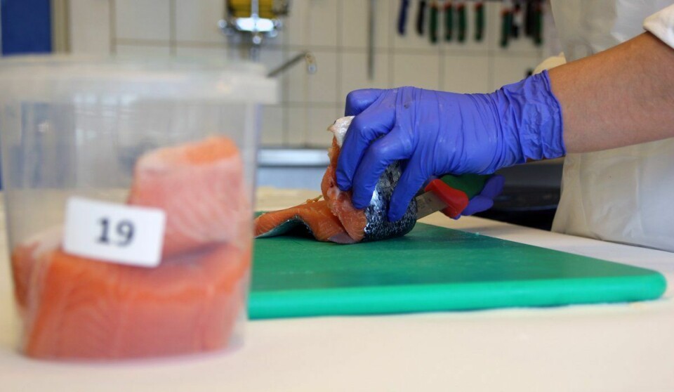 Prøvene skal være representative for norsk oppdrettsfisk som helhet. De kommer inn til HI i stykker før de blir homogeniserte, tørket og malt til pulver. Foto: Anders Jakobsen/Havforskningsinstituttet