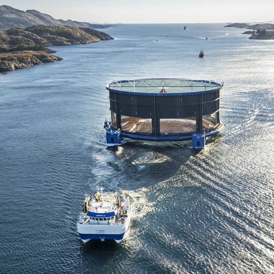 Her blir «Aquatraz» slept gjennom Nærøysundet i Rørvik, på vei til lokaliteten Kvitneset. Foto: Midt-Norsk Havbruk Her blir «Aquatraz» slept gjennom Nærøysundet i Rørvik, på vei til lokaliteten Kvitneset. Foto: Midt-Norsk Havbruk