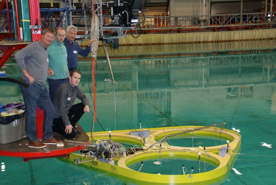 F.v Tore Lundberg AOS, Nils Arne Rakstad CS, Kåre Hæreid CS og Marius Arvesen i AOS. Foto: Astafjord Ocean Salmon