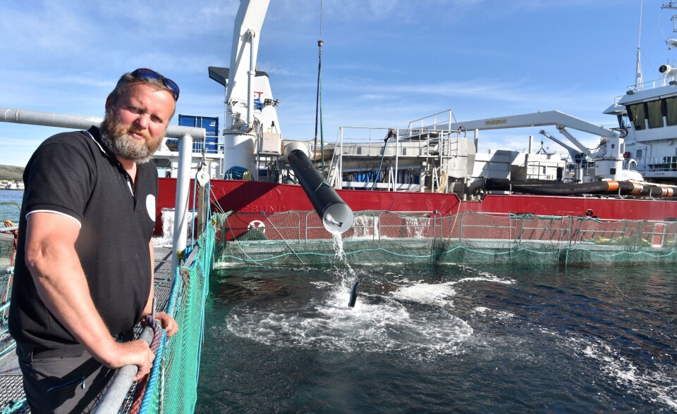 Daglig leder Gudbrand Sørheim i Oppdretternes Miljøservice (OMS) ser mekanisk avlusing ved lossing som et godt grep for å redusere mulig spredning av parasitten fra ventemerd ved slakteriene. Foto: Tom Lysø. Daglig leder Gudbrand Sørheim i Oppdretternes Miljøservice (OMS) ser mekanisk avlusing ved lossing som et godt grep for å redusere mulig spredning av parasitten fra ventemerd ved slakteriene. Foto: Tom Lysø.