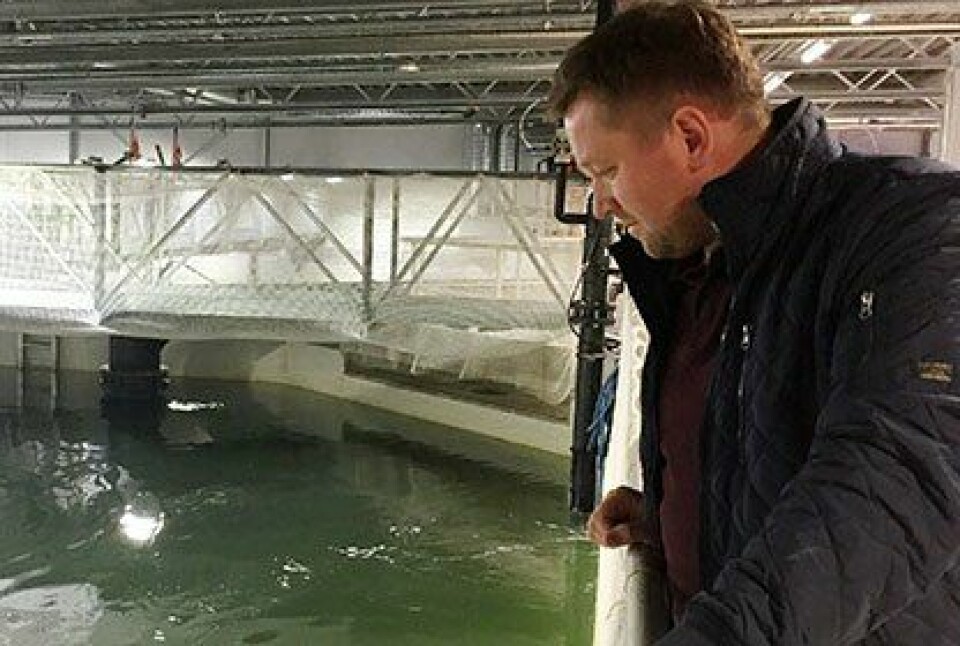 Anders Bjørkli har de siste årene jobbet som laborant hos VESO Vikan og har fagbrev i akvakultur og erfaring som både røkter og driftsleder. Foto: Skretting.