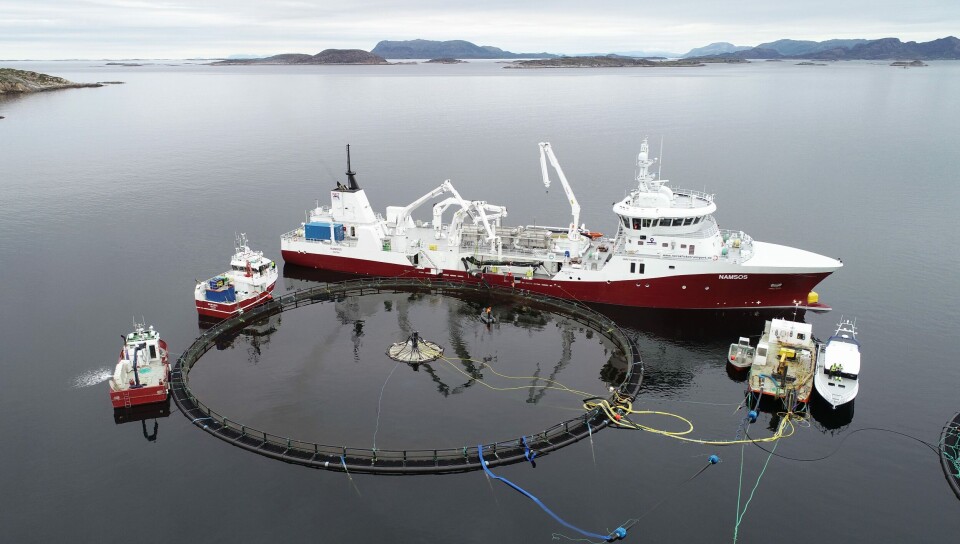 Atlantis Subsea Farming  ahr satt sin først fisk i merden. Se video om prosjektet. Kilde: Atlantis Subsea Farming
