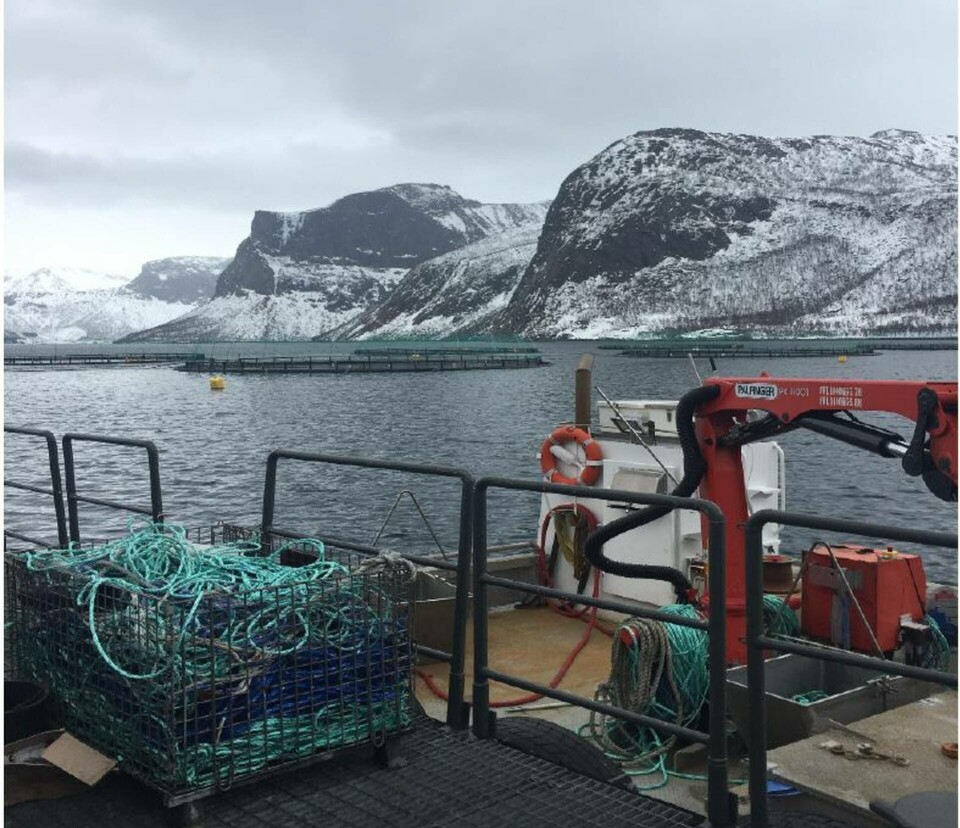 Nærmere 450 ansatte har svart på 'HMS-undersøkelsen i havbruk 2016'. Tilbakemeldingene viser at de ansatte trives godt, men at de også bekymrer seg for helsa.Kran og arbeid på oppdrettsanlegg Nærmere 450 ansatte har svart på 'HMS-undersøkelsen i havbruk 2016'.Undersøkelsen er en del av forskningsprosjektet 'Sikrere arbeidsplasser i havbruk', som er finansiert av Norges Forskningsråd. Prosjektet er et samarbeid mellom SINTEF Ocean, SINTEF Teknologi og samfunn og NTNU Samfunnsforskning. For å kartlegge de ansattes egne vurderinger ble ansatte på havbruksanlegg og servicefartøy invitert til å svare på spørsmål om helse, arbeidsmiljø og sikkerhet. Dette skal legges til grunn for forebyggende HMS-arbeid, teknologiutvikling og design.Godt arbeidsmiljø skaper trivselDeltakere melder om god helse og de trives godt. Trivsel er særlig knyttet til arbeidsmiljø og gode kollegaer. Flertallet tror de har samme jobb om fem år, og så godt som alle kan anbefale næringen som arbeidsplass for andre.HMS-undersøkelsen tar for seg ulike helseplager men viser at muskel- og skjelettplager peker seg ut. Smerter i nakke, skulder og armer, samt smerter i rygg og hender/håndledd er vanligst. Dette er plager som mange ansatte relaterer til arbeidet. Belastningsplager er den viktigste årsaken til arbeidsrelatert fravær og det er også mange ansatte som bekymrer seg for at dette er plager som kan påvirke helsa deres negativt nå eller på sikt.Sikkerheten må prioriteresSikkerhetsklima, hvordan sikkerhet prioriteres på ulike nivå i bedriften, er også kartlagt. Undersøkelsen viser at ansatte langt på vei er positive til hvordan selskap, arbeidsfellesskap og de selv prioriterer sikkerheten. Samtidig viser HMS-undersøkelsen at akutte skader er den nest viktigste grunnen til arbeidsrelatert fravær. Dette understreker at næringen må opprettholde sitt arbeid med sikkerhet.Næringen oppfordres til å bruke rapporten i sitt HMS-arbeid. Redusert belastning og sikkerhet må også inngå som en integrert del av designprosesser, teknologiutvikling, utforming av operasjoner, utstyr og arbeidsplasser i fremtiden. Foto: SINTEF.