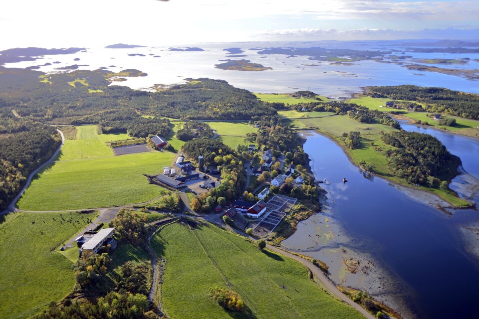 Val FoU og innovasjonsklyngen InnovArena vil bruke naturbruksskolen i Nærøysund for å pilotere blågrønn innovasjon på tvers av de biobaserte verdikjedene i Namdal.