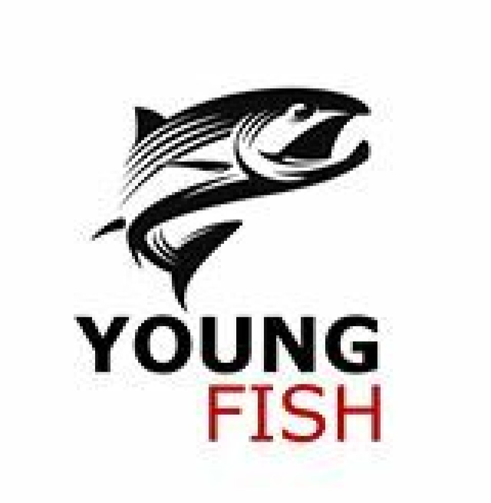 YoungFish har avholdt generalsforsamling og fått nytt styre. Illustrasjon: YoungFish