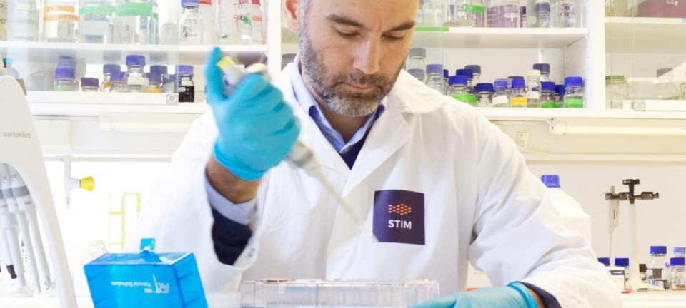 Slår ned smittepress
med bakteriofager