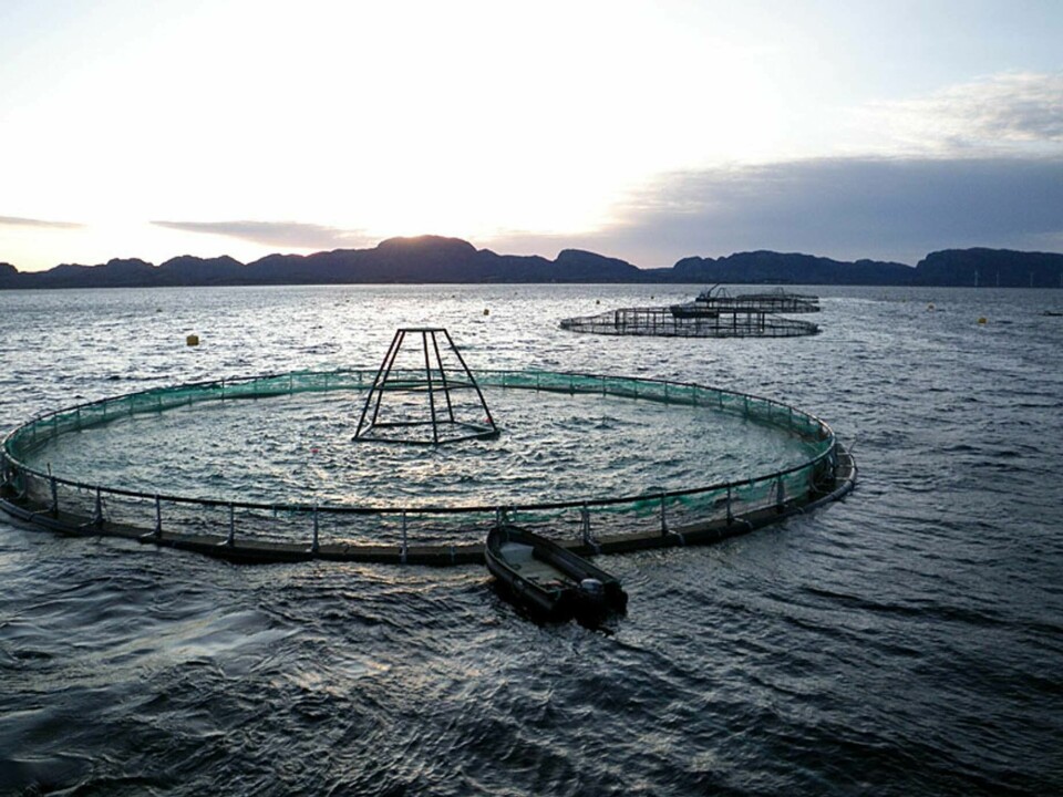 Fiskeridirektoratet vil klargjøre en misforståelse angående havbruksfondet. Illustrasjonsfoto: SINTEF.