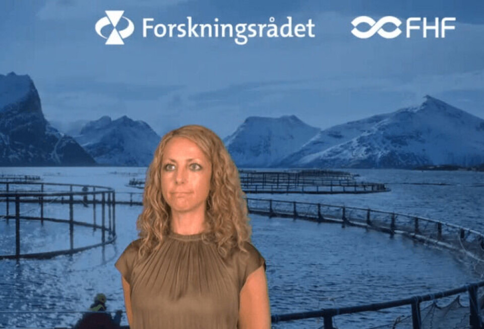 Elisabeth Ytteborg i Nofima påpeker at økte temperaturer kan få store følger for laksen ettersom økte temperaturer øker stressnivået til fisken. Skjermdump: Havbruk2020