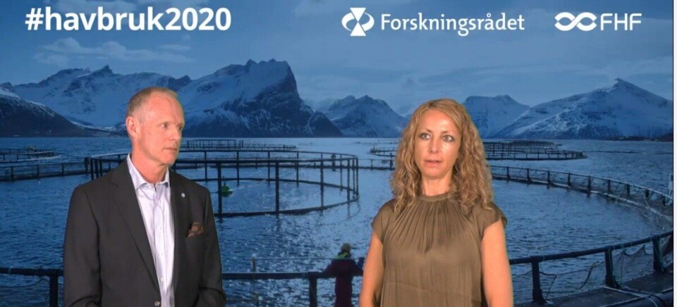 Sturla Henriksen ved UN Global Compact og Elisabeth Ytteborg i Nofima snakket om påvirkningene klima har på lakseproduksjonen, og mener samarbeid mellom ulike forskningsgrupper må på plass for å få større dynamikk i forskningen om påvirkningene klimaet har på havmiljøet.Skjermdump: Havbruk2020.