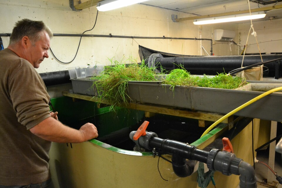 Professor Jakobsen viser frem sitt intrikate vannsystem. Foto: Magnus Petersen.