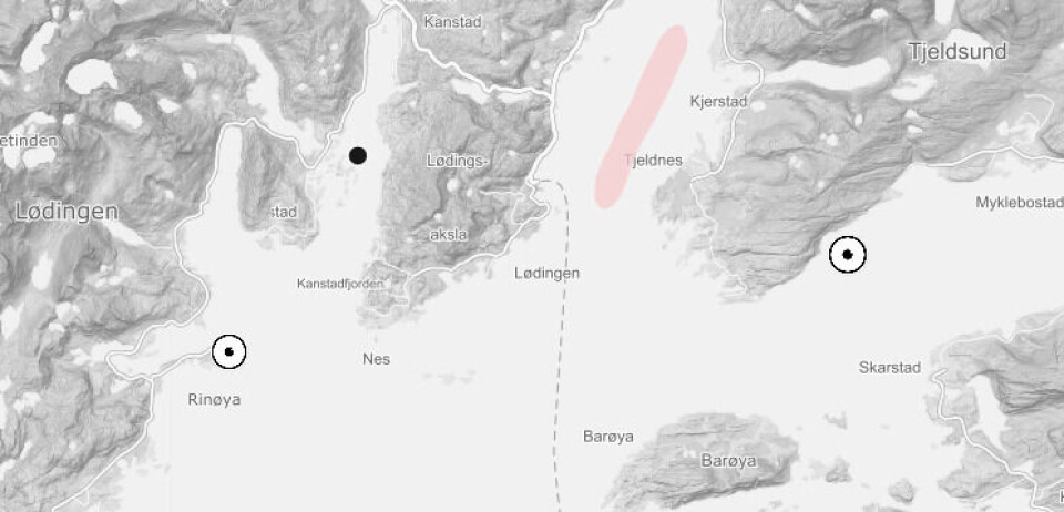 Lokaliteter i Ofotfjorden som tilhører Ellingsen Seafood og Mortenlaks er også rammet av algeoppblomstring. Kilde: Barentswatch. Lokaliteter i Ofotfjorden som tilhører Ellingsen Seafood og Mortenlaks er også rammet av algeoppblomstring. Kilde: Barentswatch.