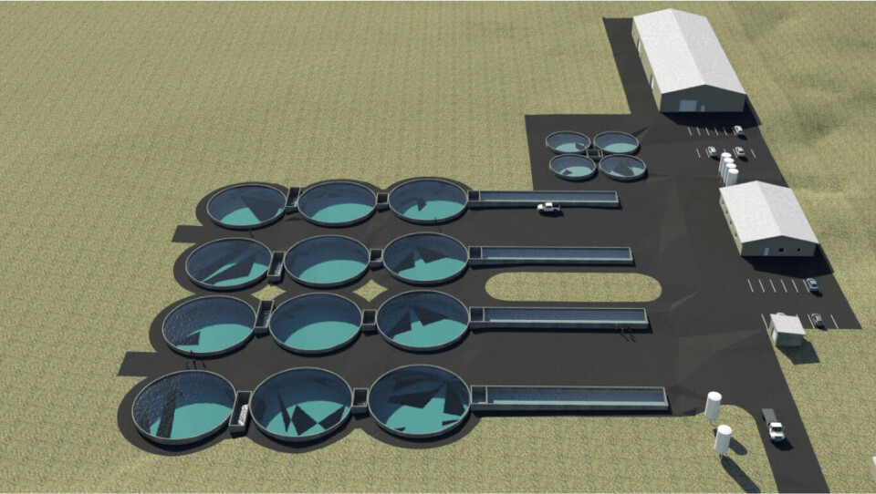 Aqua Spark investerer nå i røye, og bidrar til å bygge nytt anlegg på Grindavik på Island. Foto: Aqua Spark.