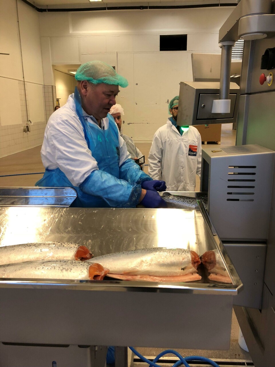 Klikk for større bilde. Foto: Norwegian Fish Company.