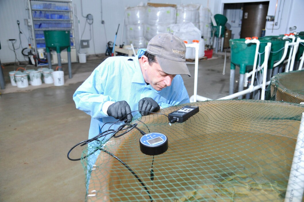 Her ved Center for Aquaculture Technologies (CAT) har man utviklet teknologien som skal hjelpe AquaBounty å sikre at all fisken blir 100 % steril. Foto CAT.