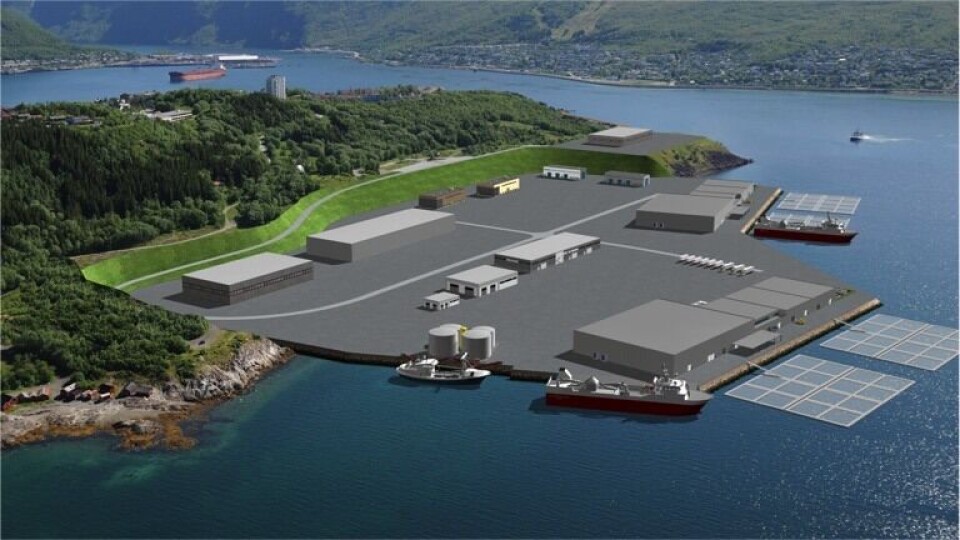 Slik kan Narvik flyplass bli seende ut. Illustrasjon: Narvik Havn KF/ SINTEF-Nord.