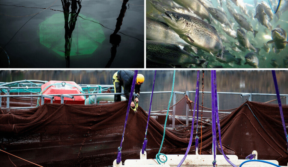Forskerne konkluderer med at nedsenkede merder kan være fremtiden, men det er fortsatt lang vei å gå før de kan tas i bruk kommersielt. Foto: Havforskningsinstituttet Forskerne konkluderer med at nedsenkede merder kan være fremtiden, men det er fortsatt lang vei å gå før de kan tas i bruk kommersielt. Foto: Havforskningsinstituttet