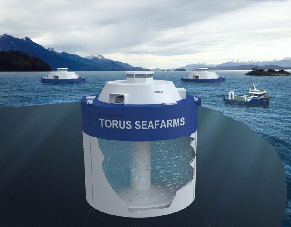 Marad Norway AS får ikke innvilget sin søknad om to utviklingstillatelser til konseptet «Torus Seafarm». Illustrasjon: Marad Norway