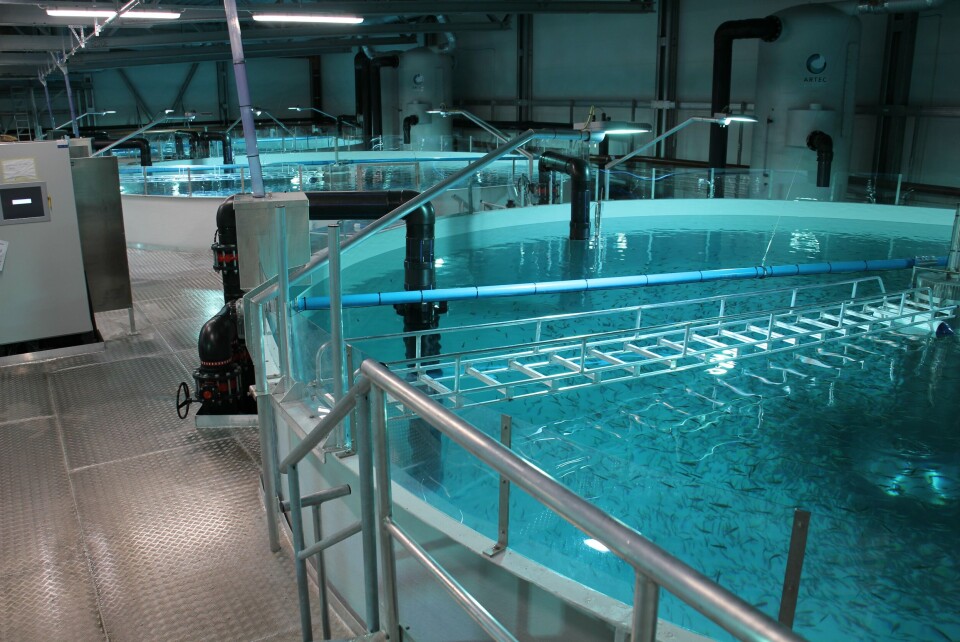 Artec Aqua har vært hovedleverandør av utstyr til Cermaq settefiskanlegget på Forsan i Steigen kommune. Her ser du ett av deres påvekstanlegg. Foto: Cermaq/Trude Markussen Artec Aqua har vært hovedleverandør av utstyr til Cermaq settefiskanlegget på Forsan i Steigen kommune. Her ser du ett av deres påvekstanlegg. Foto: Cermaq/Trude Markussen