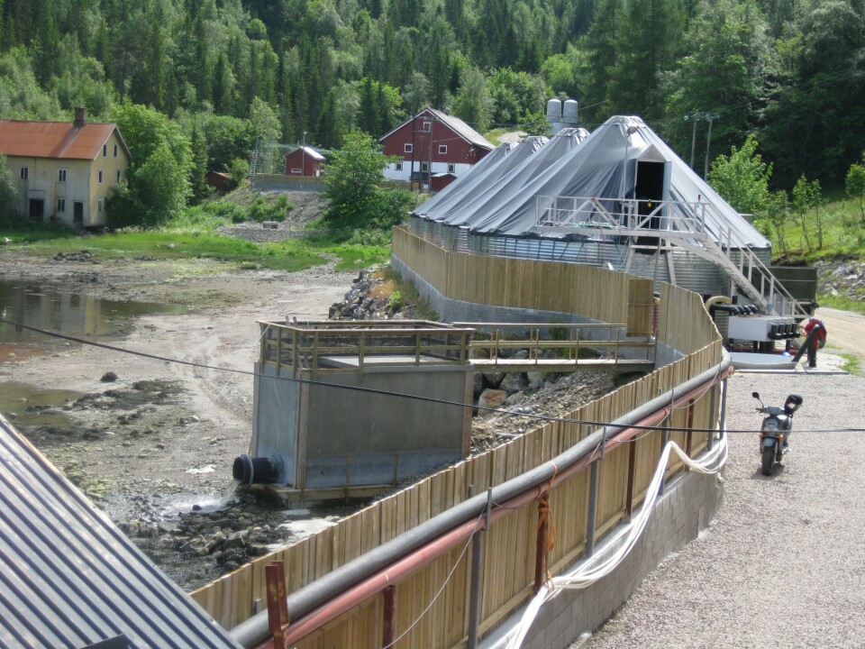 Neptun Settefisk AS leverer stabile resultater. Foto: Neptun Settefisk