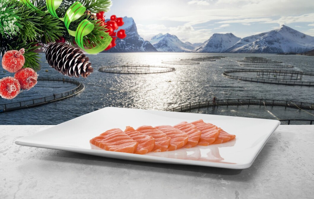 Man må tilbake til 2016 for å finne en bedre pris-start på desember enn i år. Foto: Norges sjømatråd og Larisa Koshkina fra Pixabay.