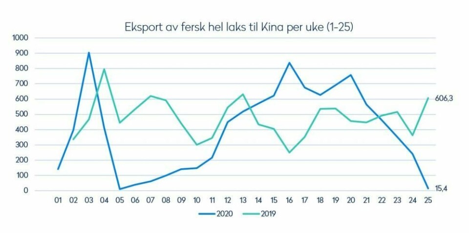 Eksport av fersk laks til Kina per uke 25 2020. Klikk for større. Kilde: Norges Sjømatråd
