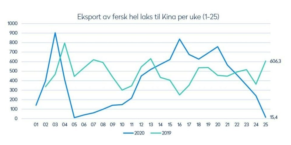 Eksport av fersk laks til Kina per uke 25 2020. Klikk for større. Kilde: Norges Sjømatråd Eksport av fersk laks til Kina per uke 25 2020. Klikk for større. Kilde: Norges Sjømatråd