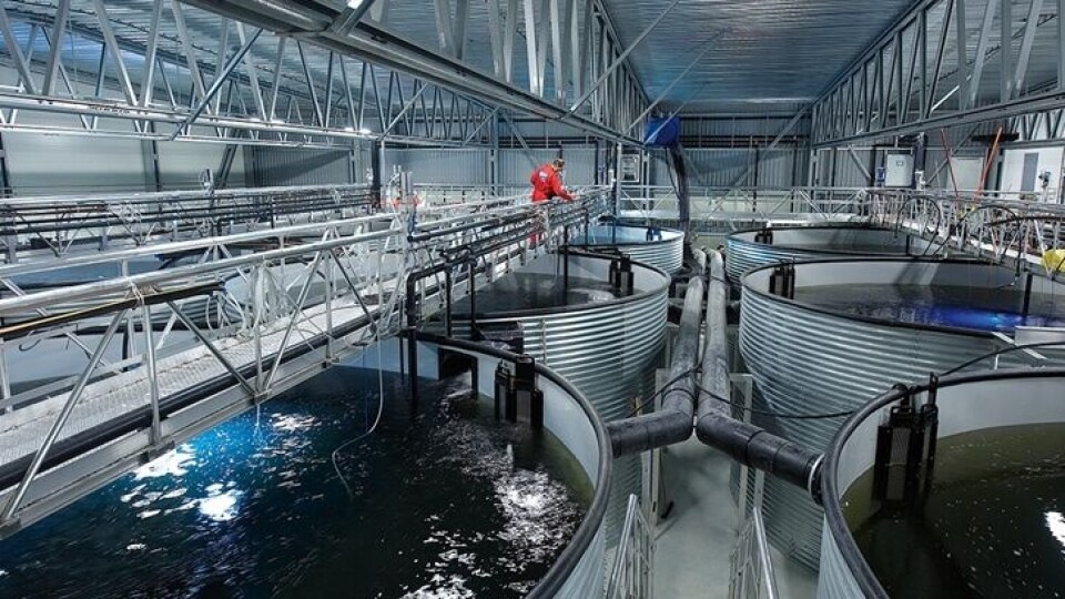 AKVA group vil satse enda mer på RAS-ustyr til Norge. Foto: AKVA group.