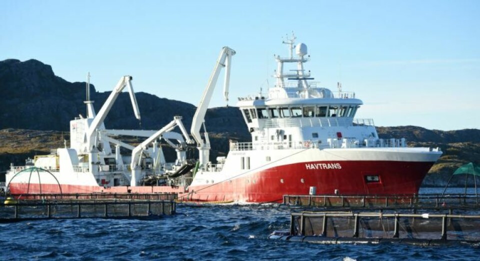 Etter ombyggingen vil HAVTRANS kunne avluse opp mot 125 tonn laks i timen, lasting og lossing medregnet. Foto: Tom Lysø.