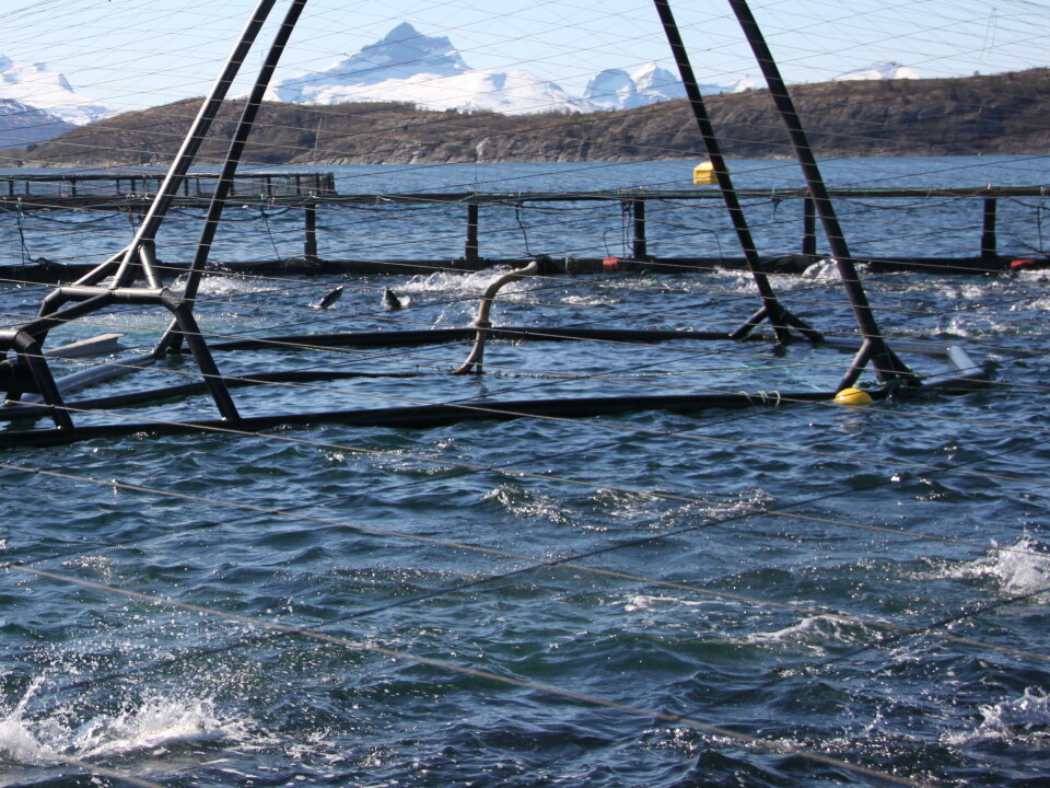 Illustrasjonsbilde: Marine Harvest anlegg i Nord-Norge.
