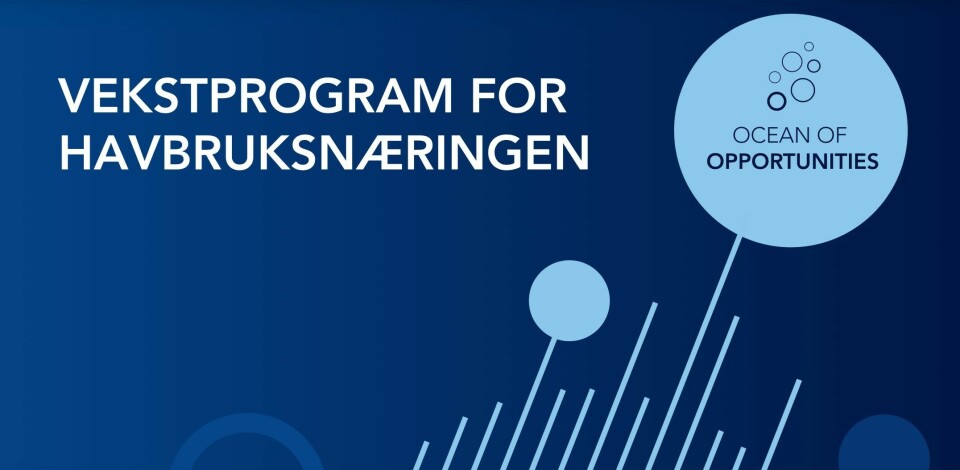 Ni nye bedrifter er klar for vekstprogram.
