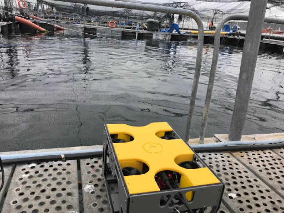 Nido Robotics har flere nyheter den kommende tiden, en av dem er utlån av ROV-systemer. Foto/video: Nido Robotics.