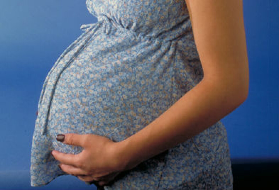 Gravid