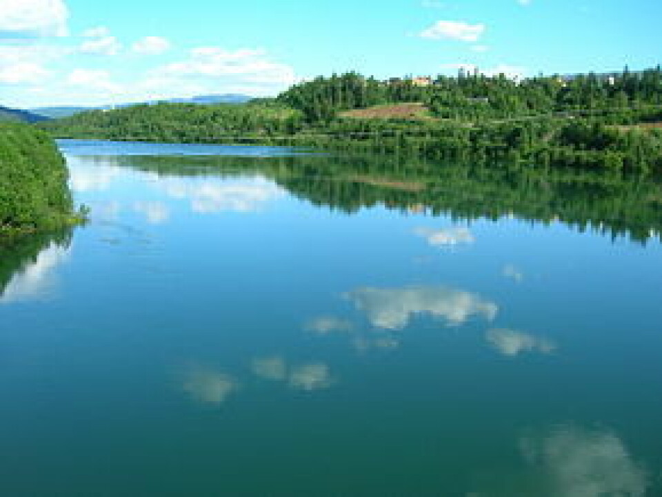 Ranavassdraget, ranaelva, natur