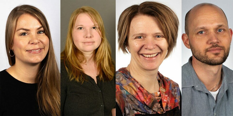 De fire nyansatte assisterende forskningssjefene i Trondheim (fra v.) Anne Kristin Jøranlid (37), Tonje Aronsen (37), Bente Rønning (49) og Jørgen Rosvold (37). Foto: Arnstein Staverløkk, NINA