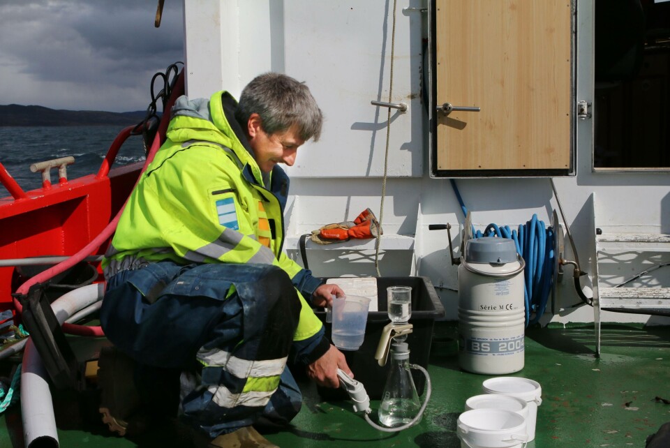 Forsker Geir Dahl-Hansen i Akvaplan Niva har utført feltundersøkelser i seks fjorder i Nordland de tre siste årene. Dette bildet er fra Sagfjorden.