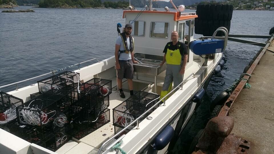Kim Halvorsen fra Havforskningsintitutttet kartla denne uken gytingen til leppefisken sammen med Johan Lindhom i Fjordservice AS. Foto: Fjordservice.