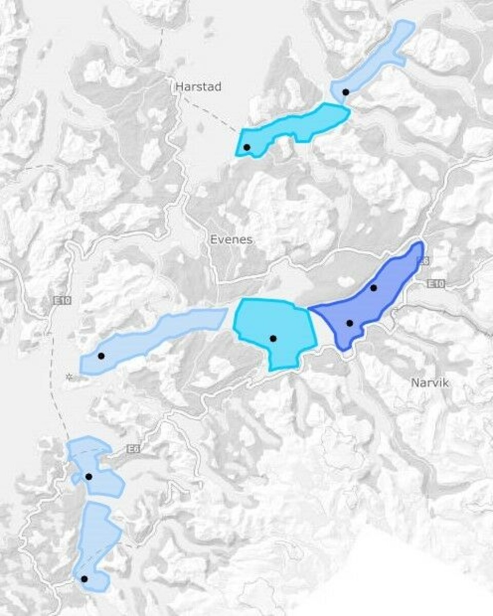 Eksempel på aktuell kartløsning. Illustrasjon: Lars-Johan Naustvoll/Havforskningsinstituttet.