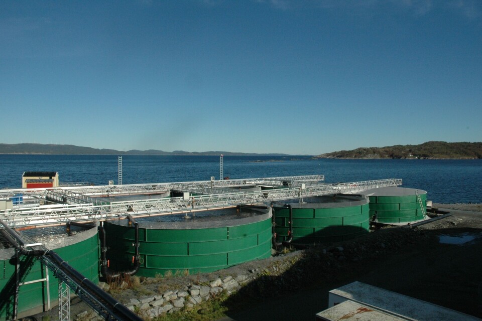 Njordsalmon sitt anlegg på Tjeldbergodden er kommet langt på produksjon av postsmolt i Norge. Foto: Njord Salmon.