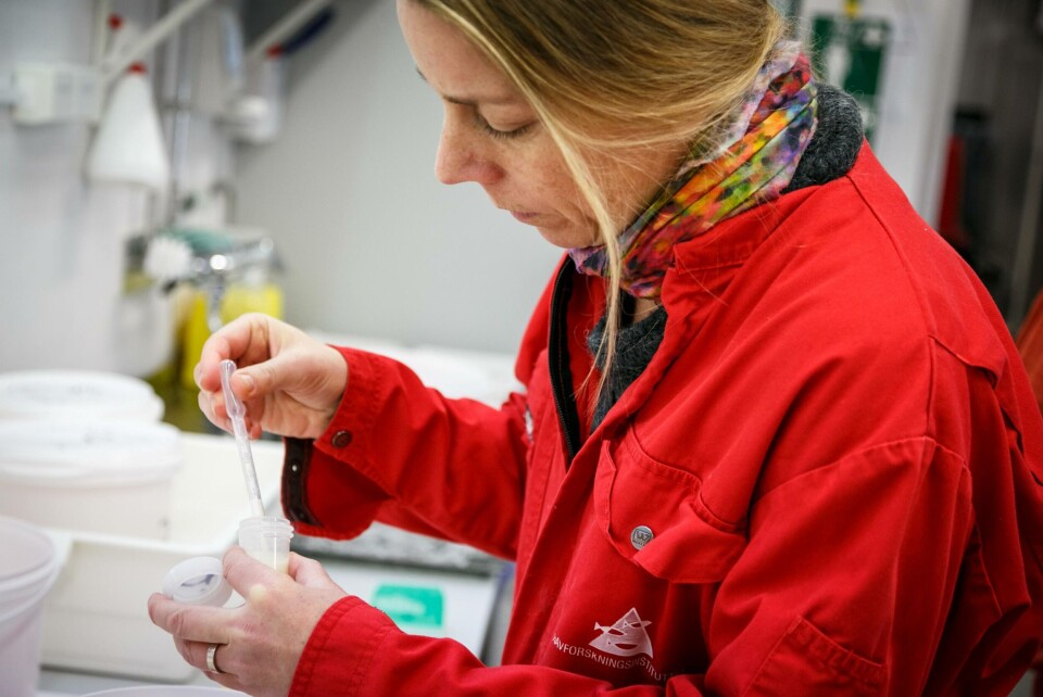 HI-forsker og med i VKM-utvalget som har sett nærmere på genredigeringsmetoden CRISPR, Anna Wargelius, skal snakke på et VKM-webinar om potensiell bruk av metodikken i lakseoppdrett. Foto: Erlend Astad Lorentzen/Havforskningsinstituttet HI-forsker og med i VKM-utvalget som har sett nærmere på genredigeringsmetoden CRISPR, Anna Wargelius, skal snakke på et VKM-webinar om potensiell bruk av metodikken i lakseoppdrett. Foto: Erlend Astad Lorentzen/Havforskningsinstituttet