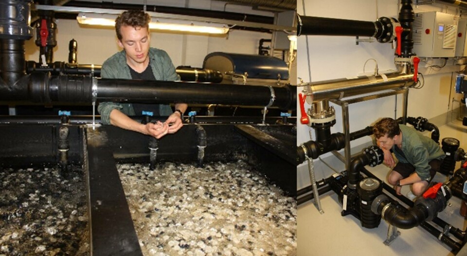 Student som tar prøver i biofilter og sjekker pumpe. Foto: Odd Ivar Lekang/NMBU