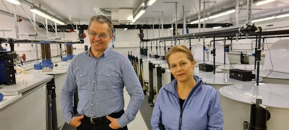 Førsteamanuensis Odd Ivar Lekang og professor Turid Mørkøre ved NMBU sier det fra i år vil utvikles et opplegg som gjør at akvakulturstudenter ved NMBU får muligheten til å spesialisere seg innen RAS og landbaserte anlegg. Bildet er fra «Fiskelabben»; Senter for fiskeforsøk som huser RAS anlegget på NMBU. Foto: Ricardo Tavares Benicio/NMBU