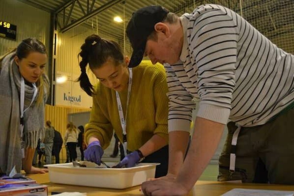 Engasjerte elever fra Inndyr skal representere Nordland i skole-NM i akvakultur. Foto: Kigok. Engasjerte elever fra Inndyr skal representere Nordland i skole-NM i akvakultur. Foto: Kigok.